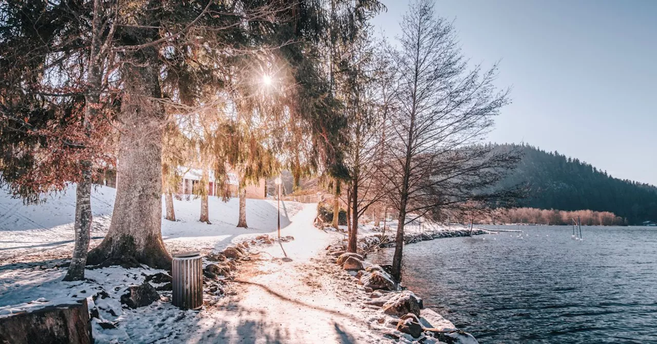 Les lacs des Vosges : une beauté hivernale à découvrir