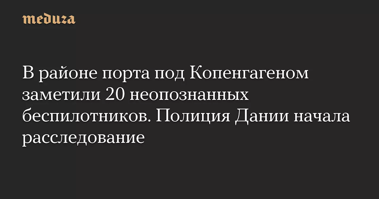 Дания расследует появление беспилотников над портом