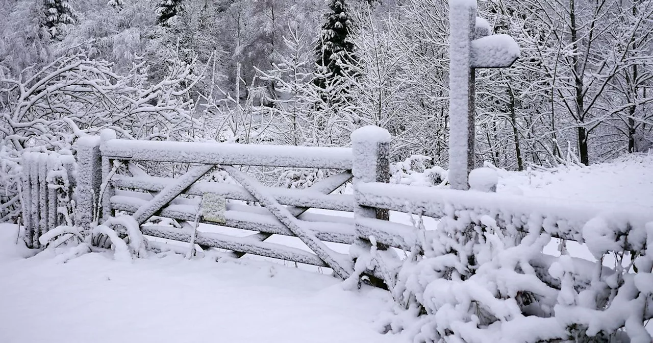 Met Office hour-by-hour snow forecast amid 'severe' amber weather warnings