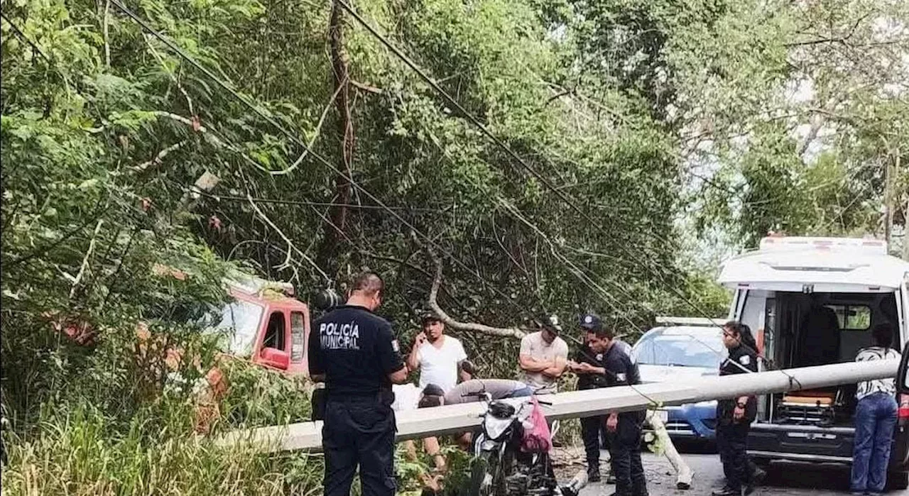 Accidentes Viales en Hidalgo