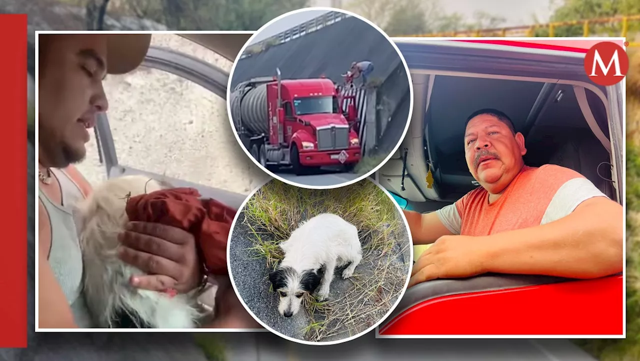 Automovilista y trailero de Reynosa rescatan a perrita atrapada en carretera