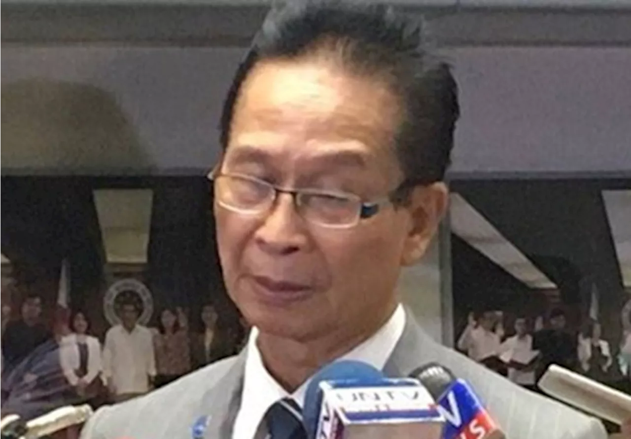 Panelo: Removal of VP Sara from NSC ‘Ill-Advised’