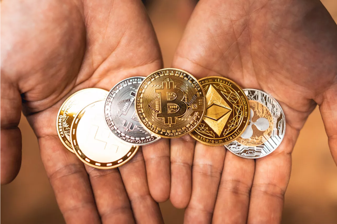 Majority of Connected South Africans Have Bought Crypto, Survey Finds