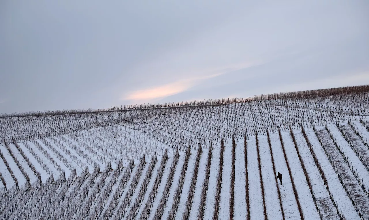 Glatteisgefahr in Bayern am Wochenende - Schnee und Sonne für Rodel-Enthusiasten