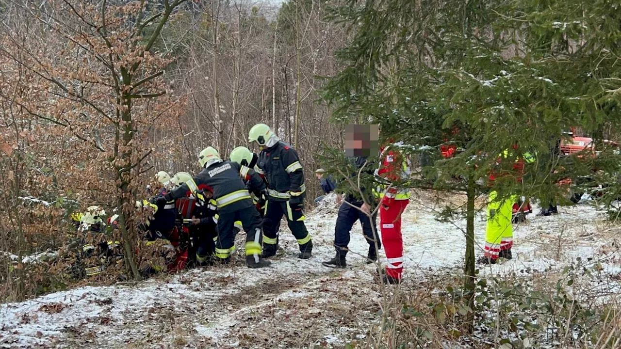 Tödlicher Forstunfall bei Kirchstetten