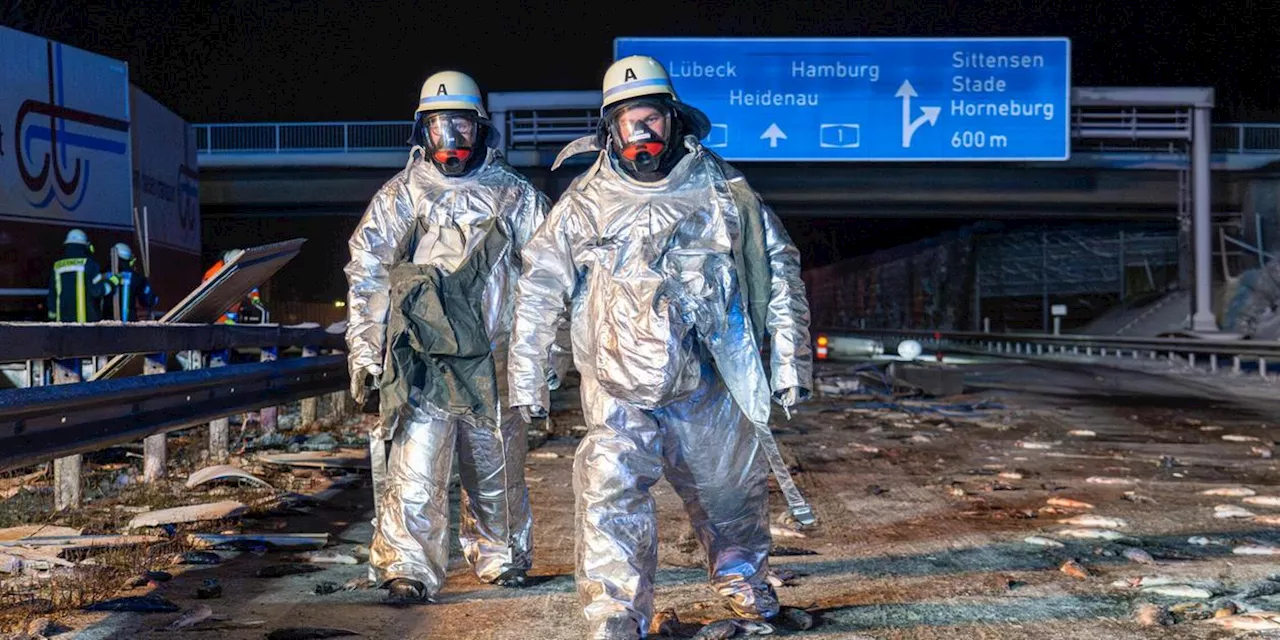 Fischtransporter Unfälle: 7000 Forellen sterben auf der Straße