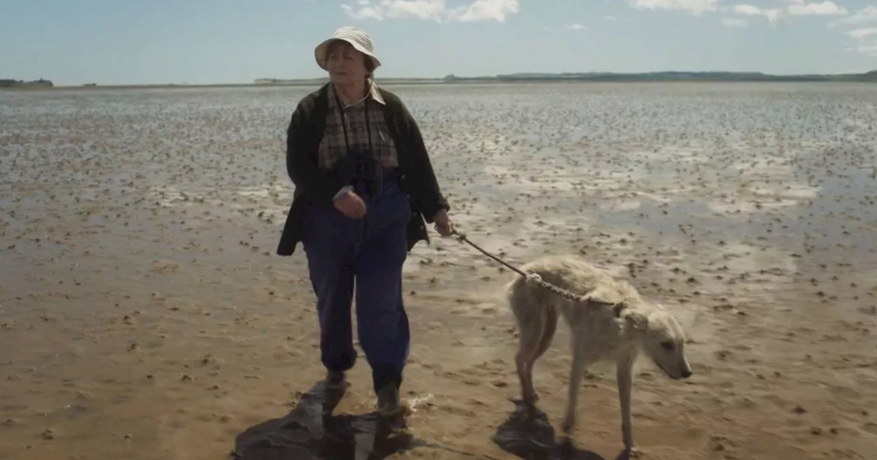 Brenda Blethyn Says Farewell to Vera Stanhope