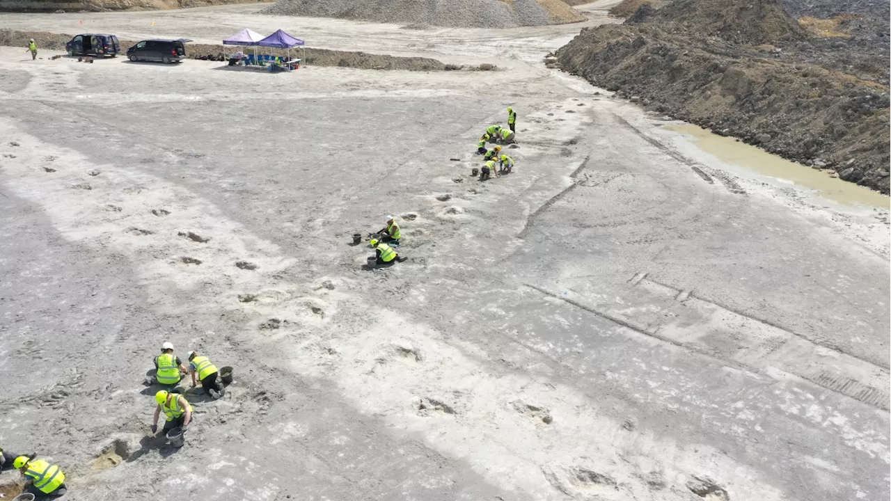 200 Dinosaur Footprints Unearthed in England