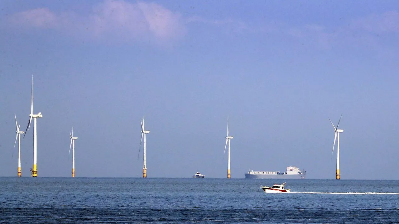 Trump fordert Briten zum Abschied von Windrädern auf