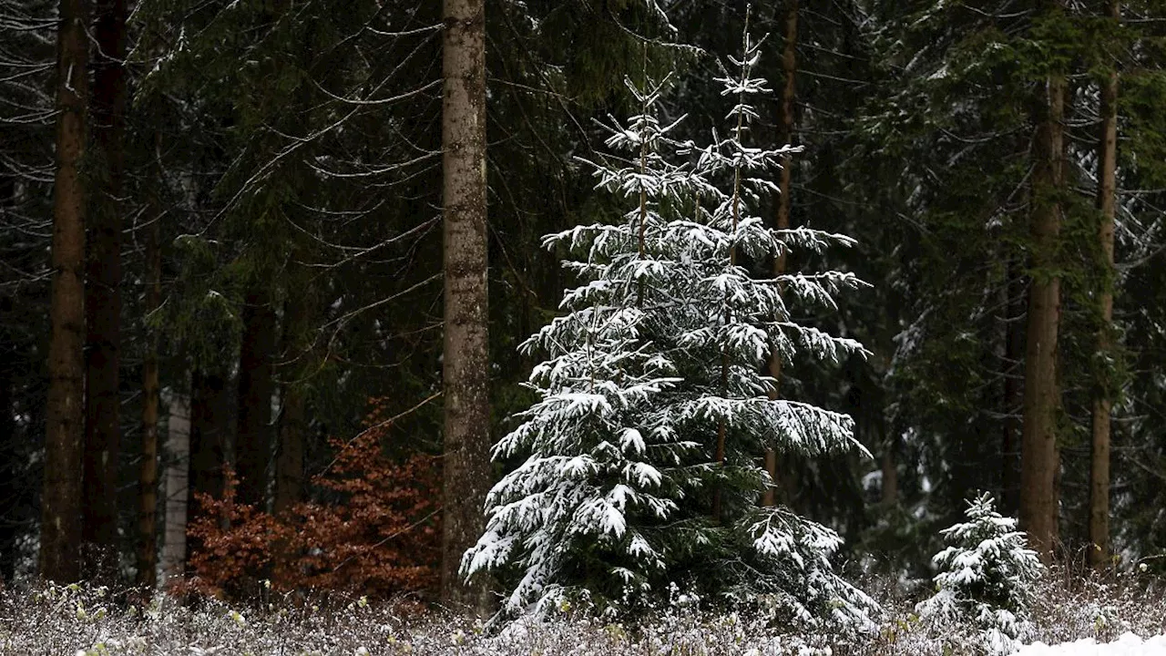 Wintersport im Thüringer Wald startet