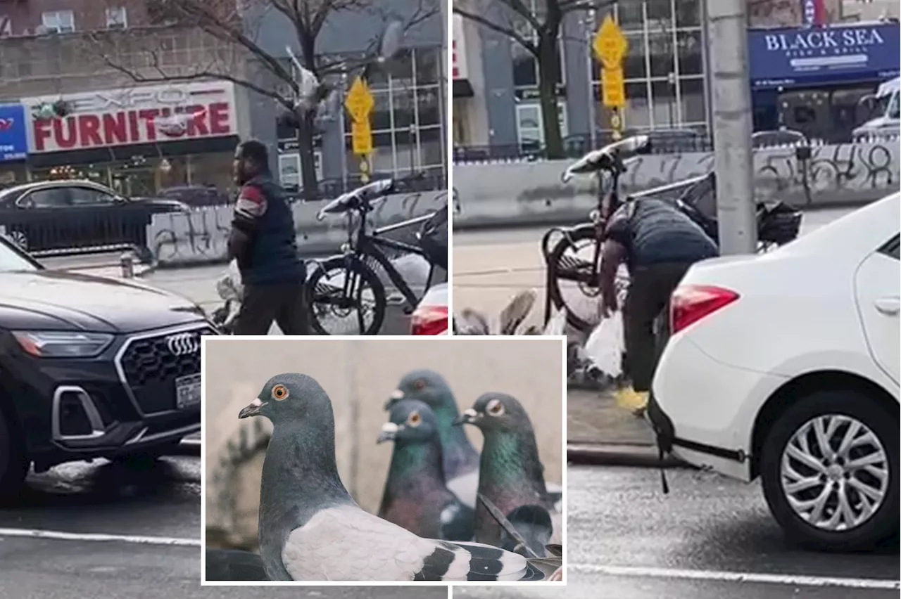 Food Truck Worker Fired After Viral Video Shows Him Catching and Handling Pigeons