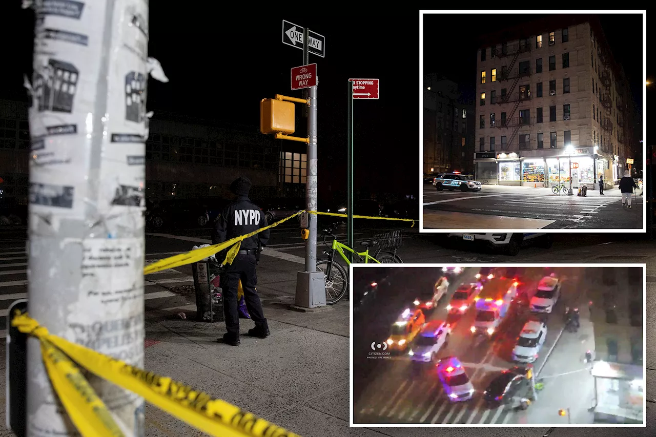 Teenager Killed in Harlem Stabbing