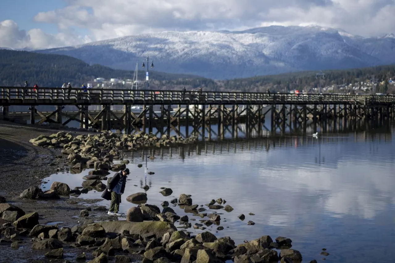 Body Found Near B.C. Marina, Homicide Investigation Launched