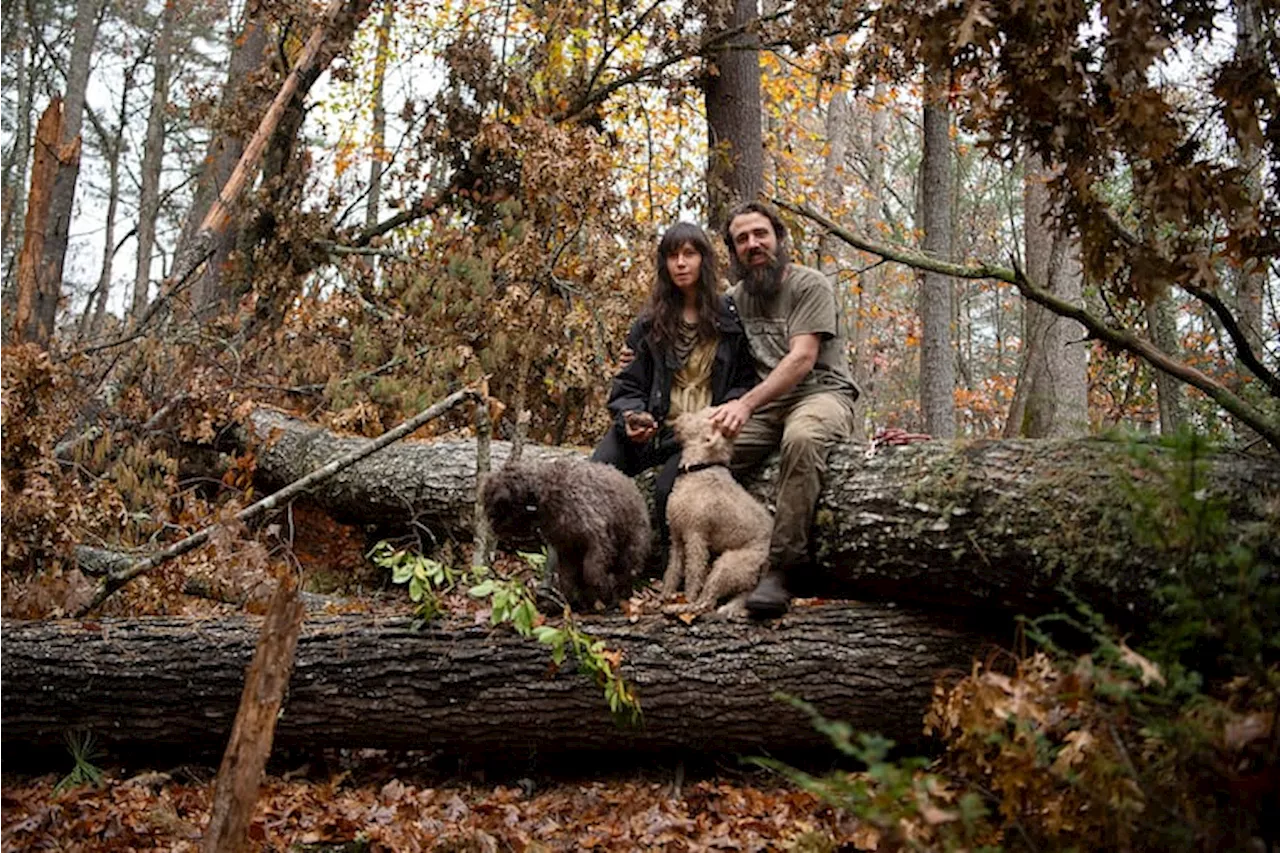 Hurricane Helene's Impact on Blue Ridge Truffle Harvest