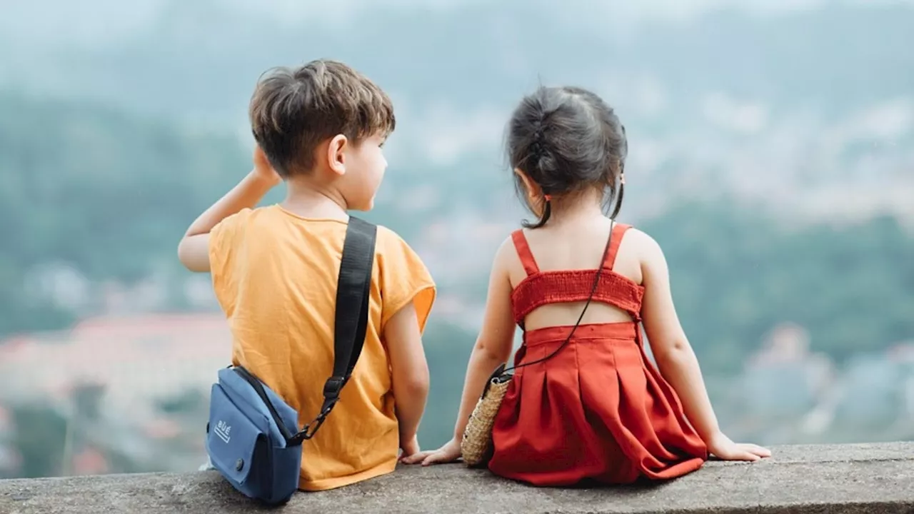 Férias escolares em São Paulo: aventuras no zoológico e museus para todas as idades