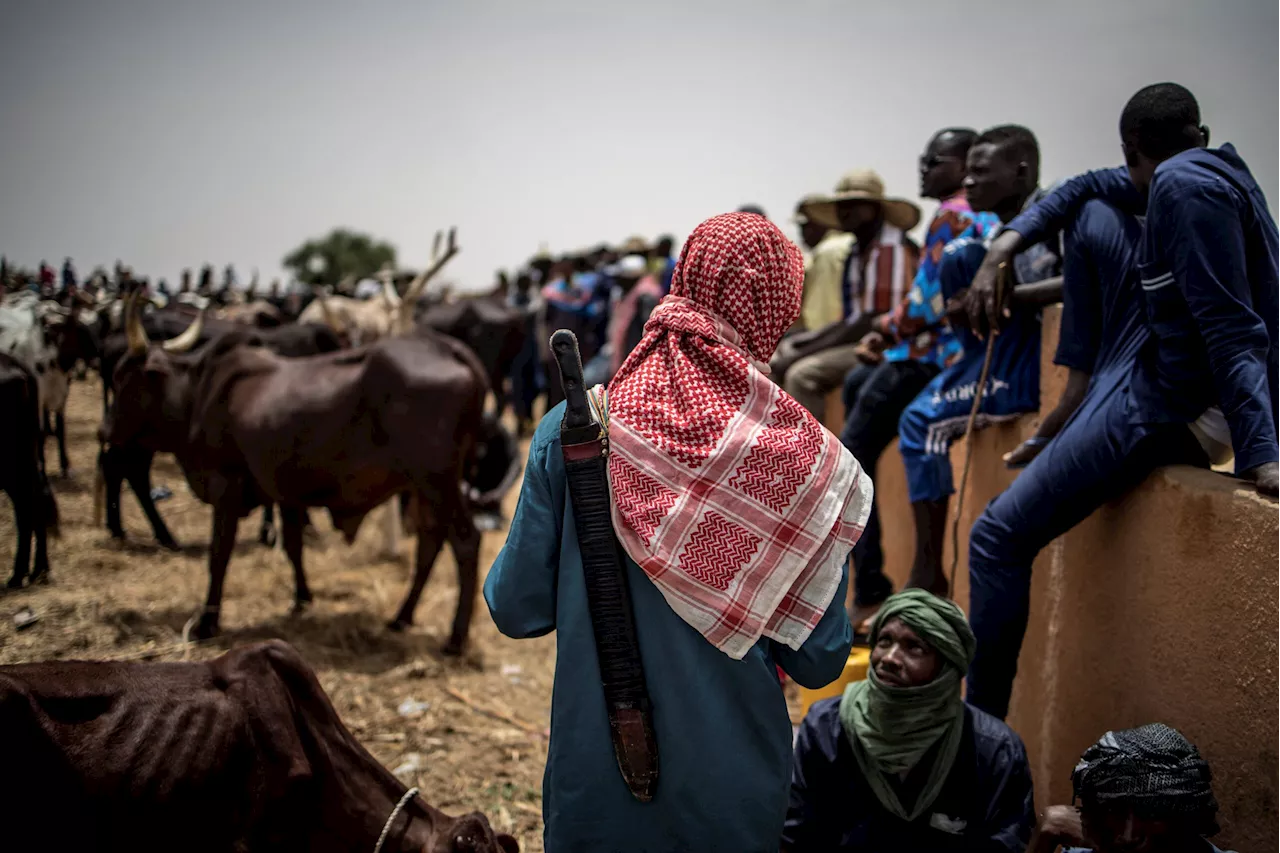 Farmers-Herders Clashes in Jigawa Claim Nine Lives