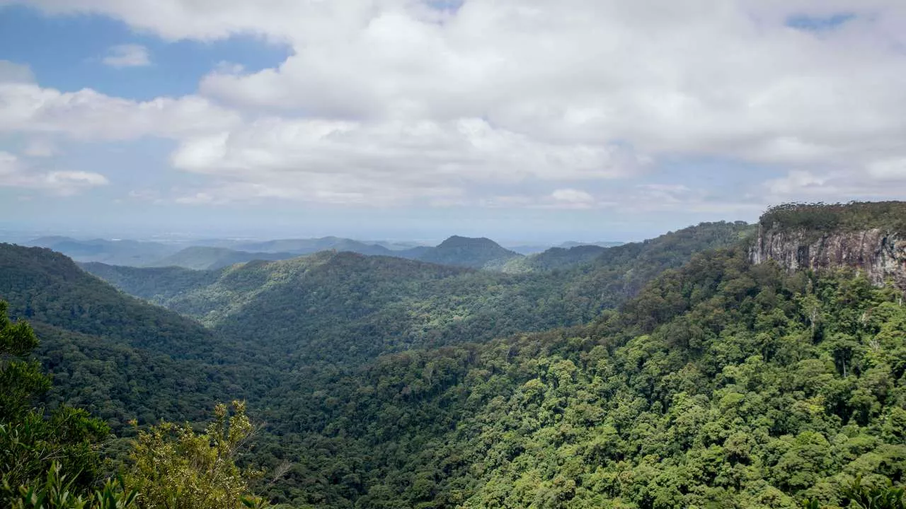 Crime scene declared in Queensland national park after grim discovery