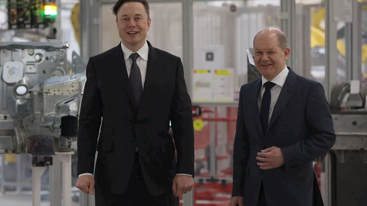 Kanzler Scholz zu Musk-Attacken: »Da muss man cool bleiben«