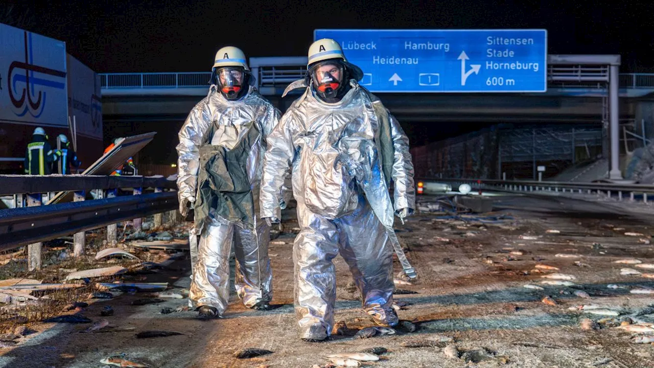 Mehrere Verletzte und Hunderte tote Fische bei Unfall auf der A1