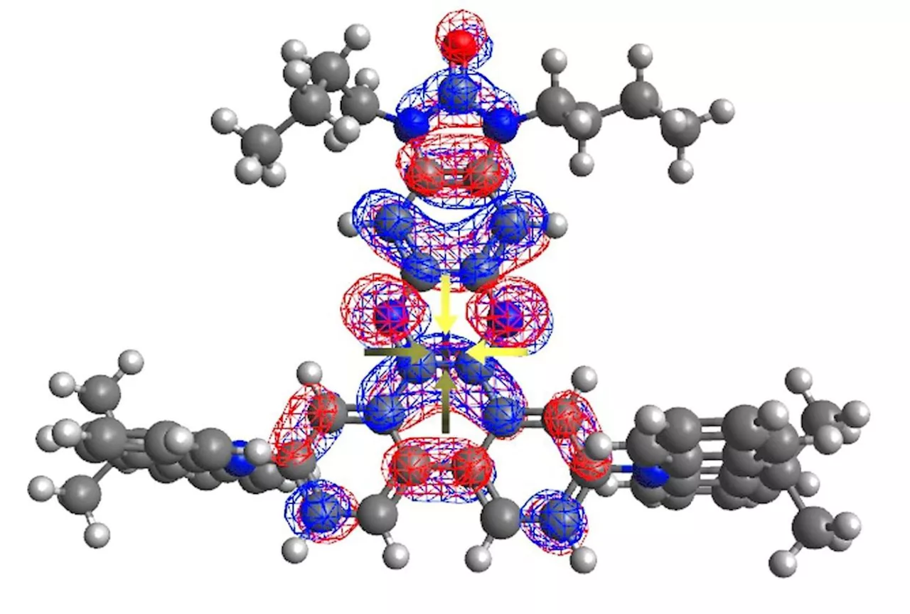 M’sian team part of pioneering molecular research