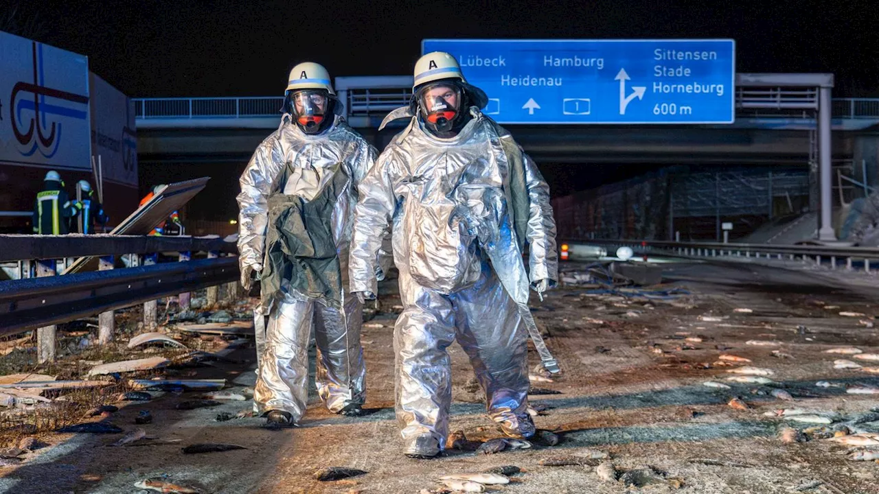 Bei Glatteis: Lkw kommt von der Straße ab – Hunderte Fische verenden