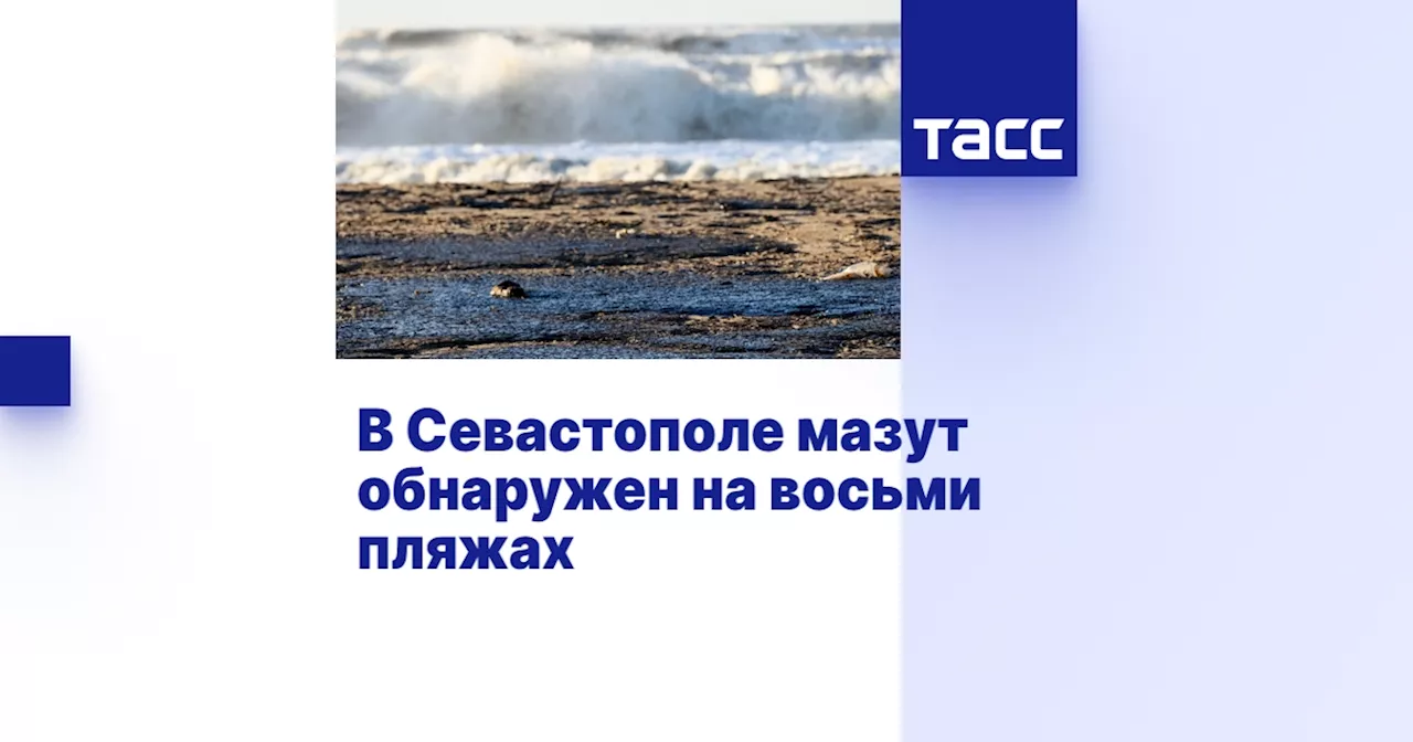 Мазутные пятна обнаружены на 29,7% пляжей Севастополя