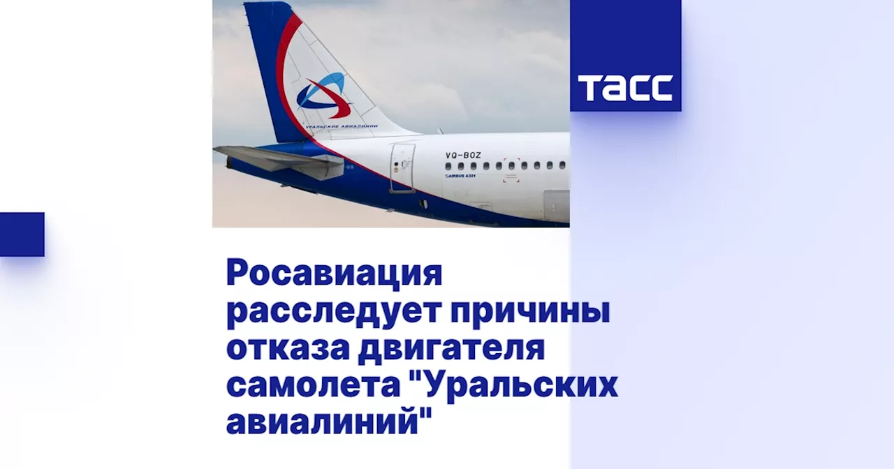 Росавиация расследует отказ двигателя Airbus A321 'Уральских авиалиний' в Египте