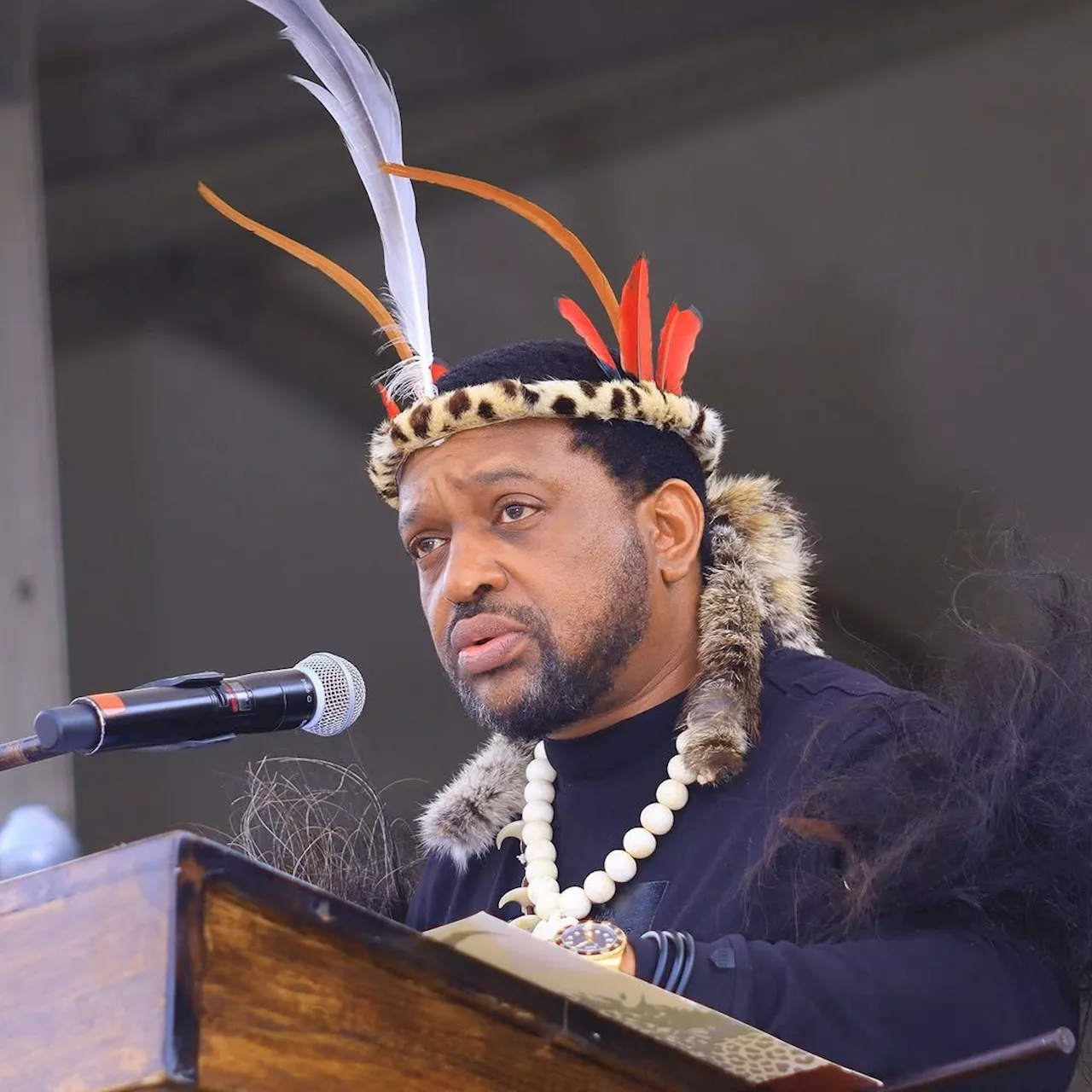 King Misuzulu's R20K Maintenance Proposal Sparks Debate