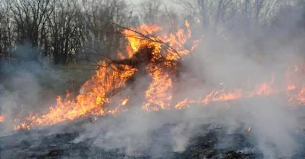 Australia’s southeast faces heatwave and bushfire risk