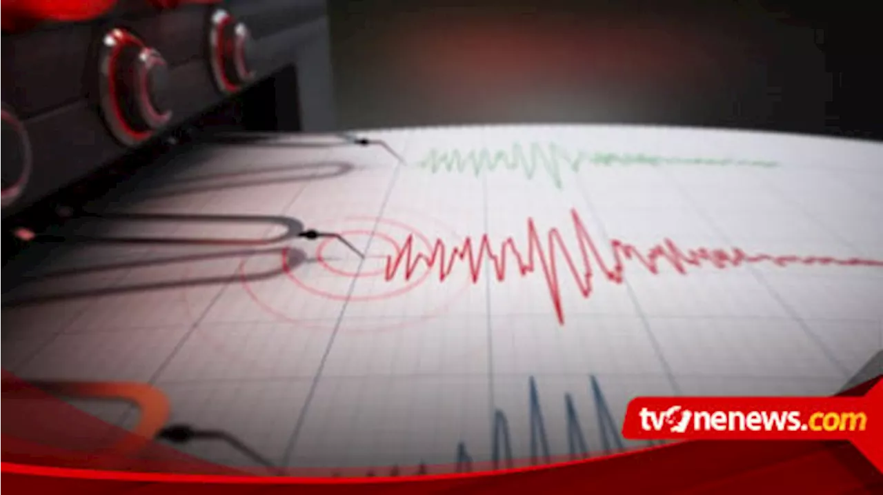 Ribuan Gempa Bumi Menerjang NTT Selama 2024