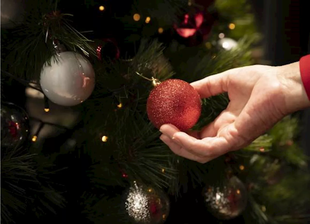 ¿Cuándo Se Quita el Nacimiento y el Árboles de Navidad?