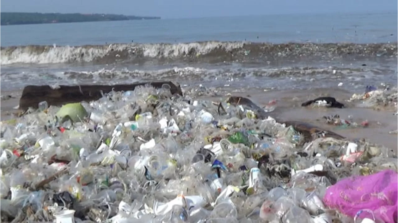 Sungai Watch dan Ratusan Relawan Bersihkan Pantai Kedonganan Bali, Sampah Plastik Terkumpul 47.000 Kg