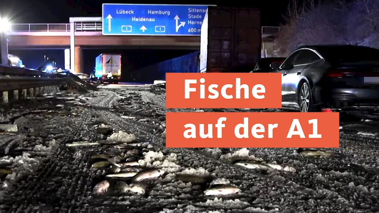 Tausende Forellen bei LKW-Unfall auf der A1 verendet