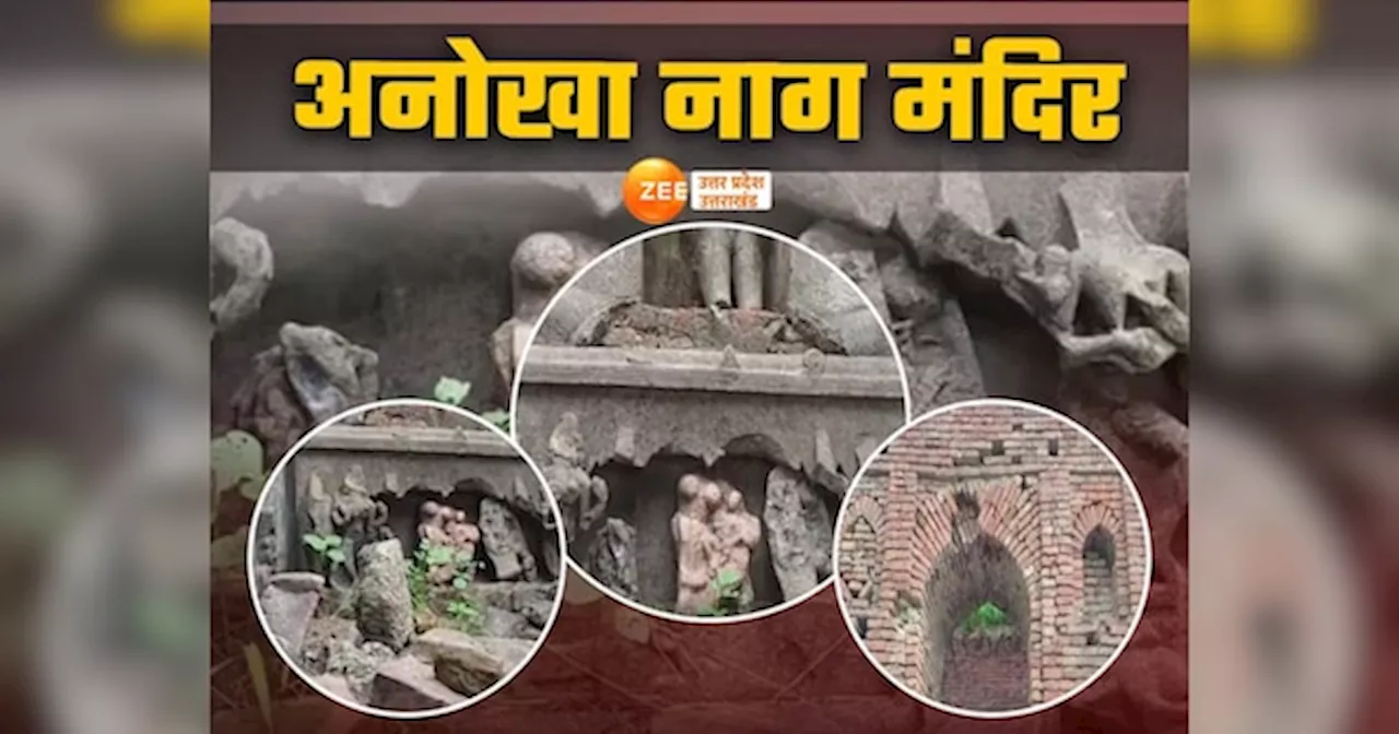 UP Unique Temple: धौरा नाग मंदिर