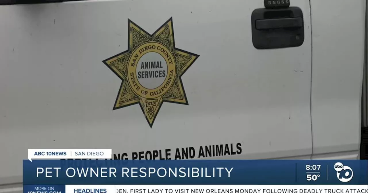 San Diego Animal Services: Rising Cases of Neglect and Abuse