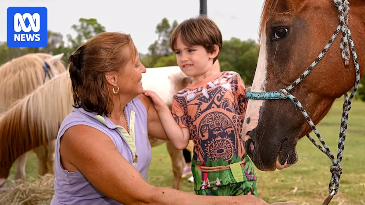 Council Threatens to Seize Animals from Backyard Farm for Children