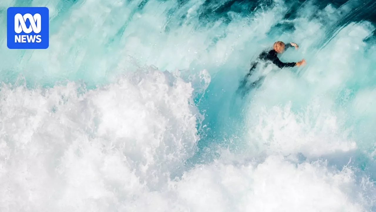 South Australia's Surf Paradise: When Conservation Meets Danger