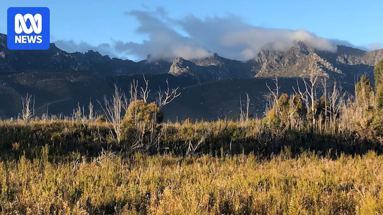 Tasmania's Busiest Rescue Weekend: Hikers Urged to Prepare for Remote Wilderness