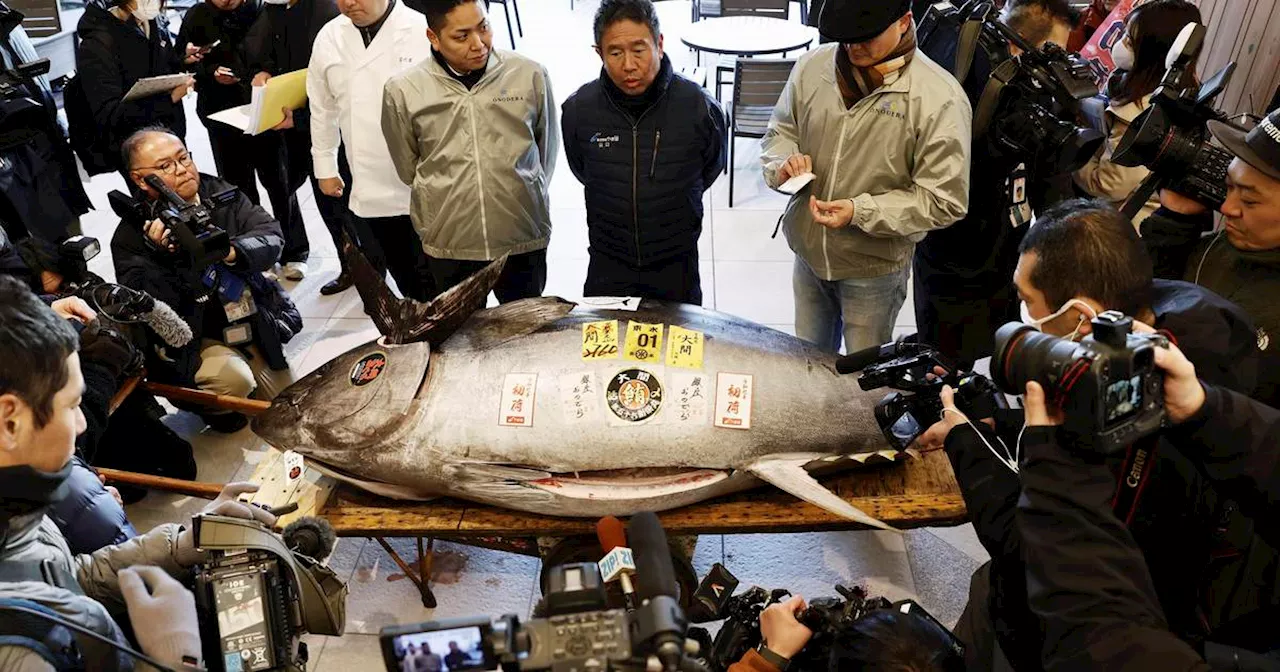 Million-Dollar Tuna Sells at Tokyo Auction