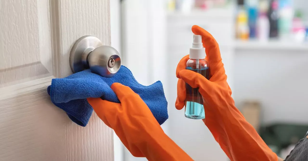 The Filthiest Parts of Your House and How to Clean Them