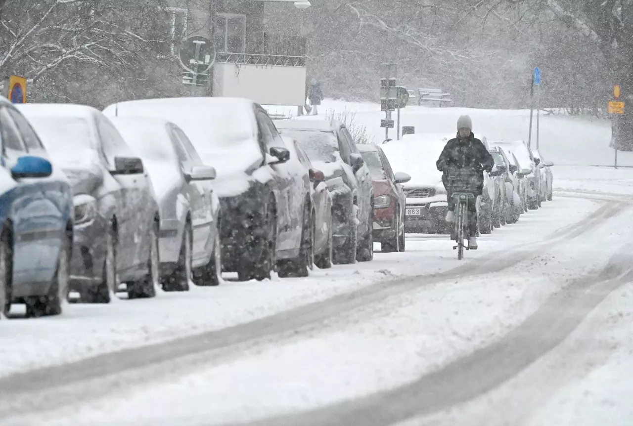 SMHI utfärdar varningar för kraftigt snöfall och blåst i Sverige