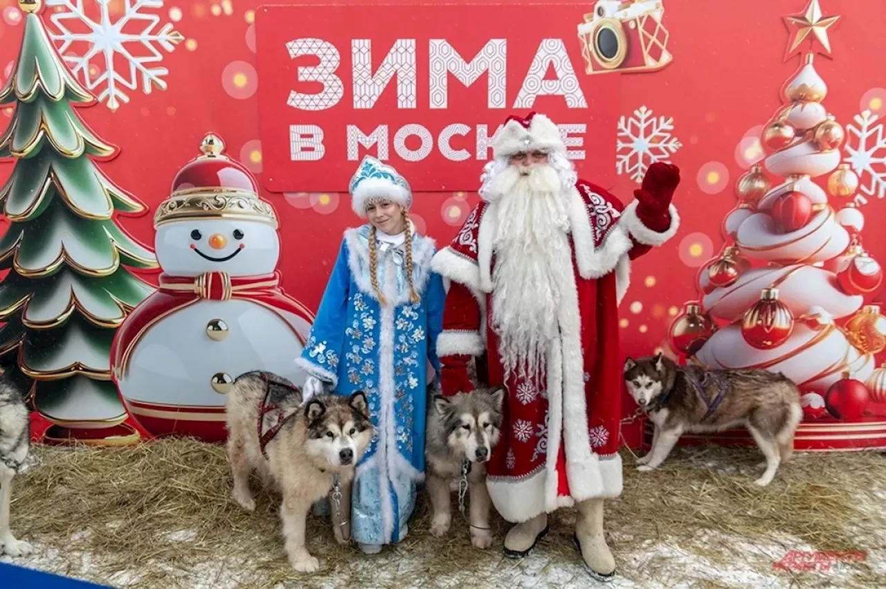 Волшебное место. Чем заняться на площадке «Зима в Москве» у Дворца пионеров