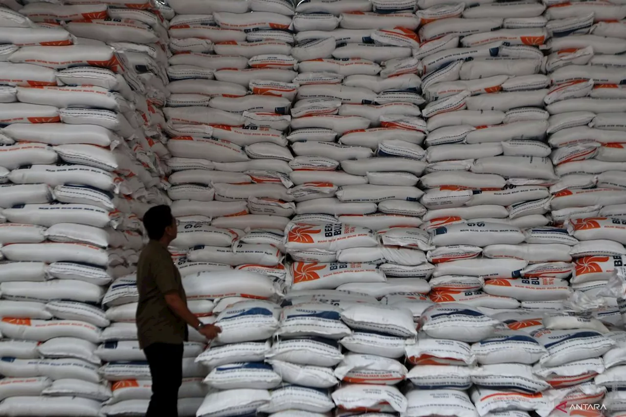 Bulog Siap Serap Gabah Petani Jelang Panen Raya