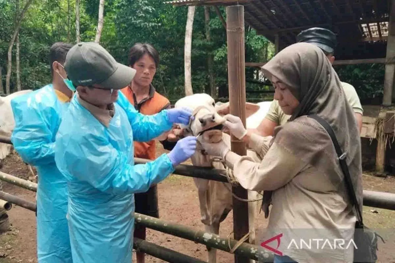 Imbauan Penutupan Pasar Hewan & Kemudahan SKKP: Berita Ekonomi Minggu Ini