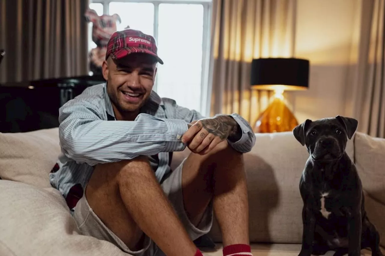 Pengedar narkoba terkait kasus Liam Payne ditangkap