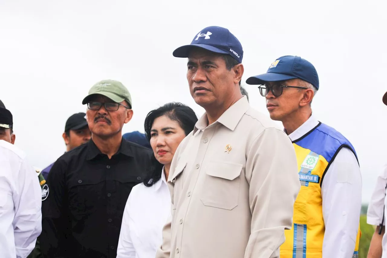 Presiden Prabowo Dorong Pertanian Indonesia Melalui Stimulus Pupuk