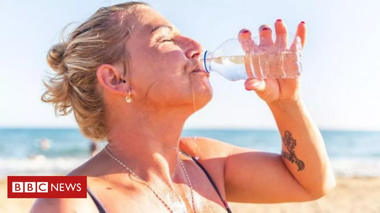 A Tentação do Mar - Por que Beber Água do Mar é um Risco?