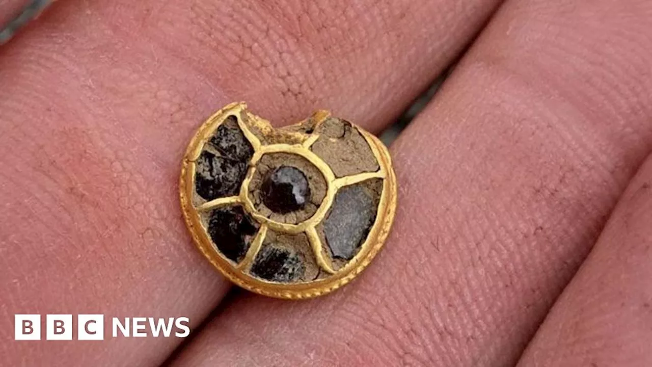 Tiny Sutton Hoo-era gold and garnet mount for a warrior's sword belt discovered