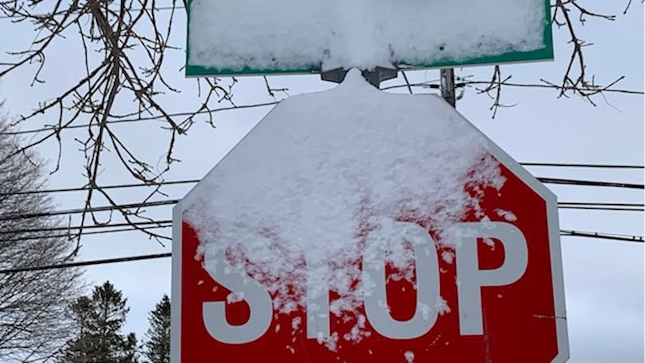 Snowstorm Warning for Eastern P.E.I.