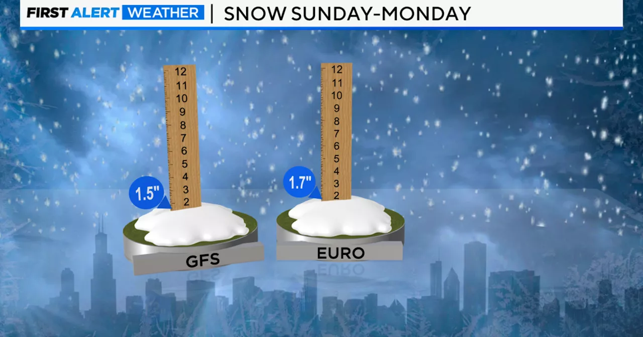 Snow Showers Expected in Chicago Area, Winter Storm Hits Downstate Illinois